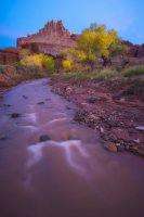 3475-sulphur creek and the castle - capitol reef.jpg