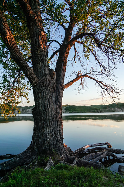 merritt-sunrise5-063015-L.jpg