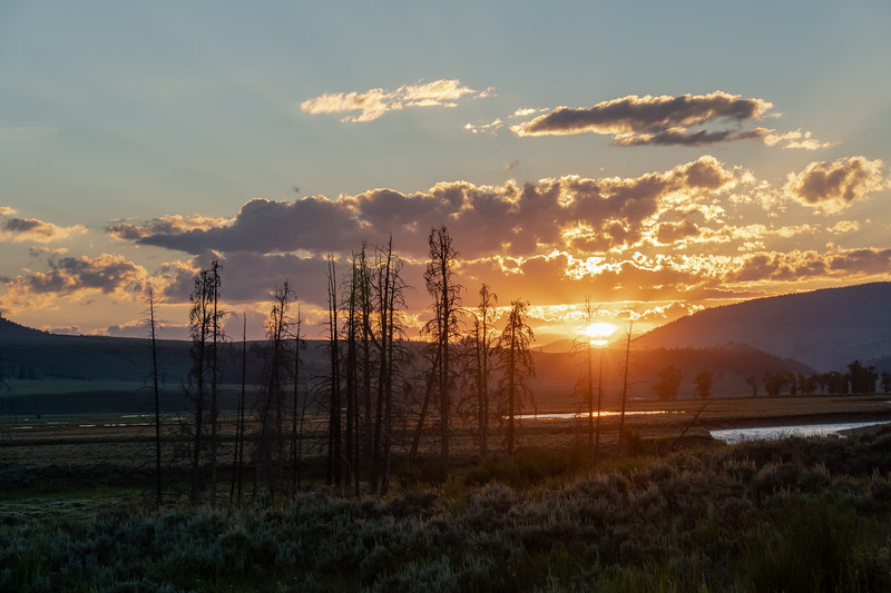 yellowstone2018-47-L.jpg