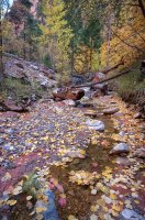 _DSC4626.jpg _DSC4626.jpg