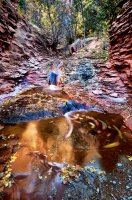 c_DSC4660.jpg c_DSC4660.jpg