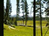 Yellowstone 2010\' 003.jpg Yellowstone 2010\' 003.jpg