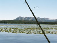 Yellowstone 2010\' 008.jpg Yellowstone 2010\' 008.jpg