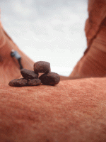 DSCF4616.gif DSCF4616.gif