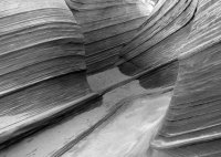 web-5a.jpg web-5a.jpg