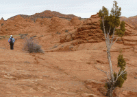 web-11.gif web-11.gif