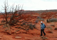 web-12.gif web-12.gif