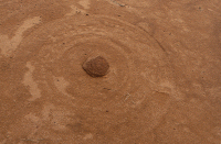 web-13.gif web-13.gif