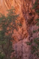 DSC_5130.jpg DSC_5130.jpg