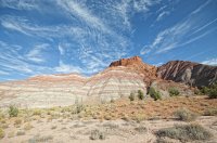 _DSC4217.jpg _DSC4217.jpg