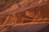 DSC_5146.jpg DSC_5146.jpg