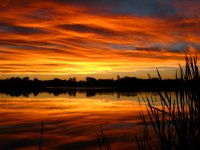 IMG_6633.jpg IMG_6633.jpg