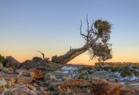 _DSC9761_2_3_tonemapped.jpg _DSC9761_2_3_tonemapped.jpg