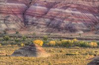 _DSC4493_4_5_tonemapped.jpg _DSC4493_4_5_tonemapped.jpg