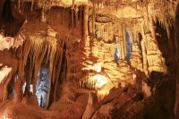 great basin -5.jpg great basin -5.jpg