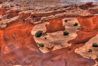 df%20arch_.jpg df%20arch_.jpg