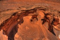 DF%20Elephant_.jpg DF%20Elephant_.jpg