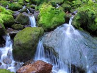 IMG_1129- LaborDay07.JPG