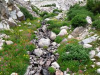 5248 - Windrivers08.JPG