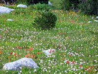 5398 - Windrivers08.JPG