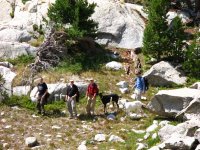 IMG_5321 - Windrivers08.JPG