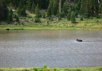 4875 - Uintas - Gilbert Lake.jpg 4875 - Uintas - Gilbert Lake.jpg