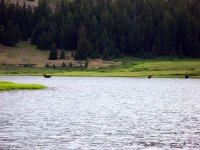 5067 - Uintas - Gilbert Lake.jpg 5067 - Uintas - Gilbert Lake.jpg