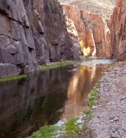 Aravaipa 2012-611.jpg