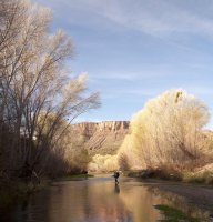 Aravaipa 2012-686-Edit.jpg