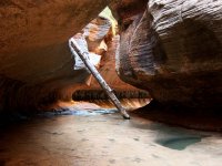 subwaylog.jpg subwaylog.jpg