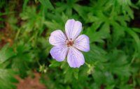 IMG_6362.JPG IMG_6362.JPG