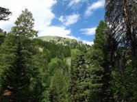 IMG_6370.JPG IMG_6370.JPG