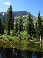 IMG_6388.JPG IMG_6388.JPG