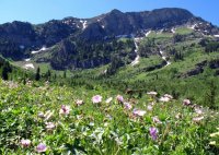 IMG_6407.JPG IMG_6407.JPG