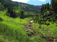 IMG_6446.JPG IMG_6446.JPG