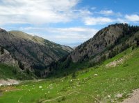 IMG_6453.JPG IMG_6453.JPG