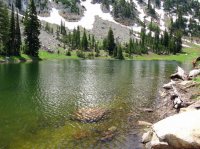 IMG_6456.JPG IMG_6456.JPG