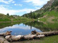 IMG_6462.JPG IMG_6462.JPG