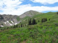 IMG_6468.JPG IMG_6468.JPG