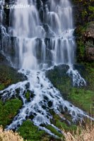 CRW_4199.jpg CRW_4199.jpg