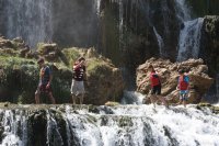 IMG_6115.JPG IMG_6115.JPG