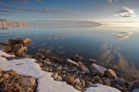 IMG_0333 (1).jpg IMG_0333 (1).jpg