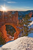 CRW_3321.jpg CRW_3321.jpg