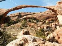 Random Pics 653.jpg Random Pics 653.jpg