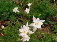 IMG_3018.JPG IMG_3018.JPG