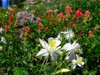 IMG_3032.JPG IMG_3032.JPG