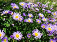 IMG_3047.JPG IMG_3047.JPG