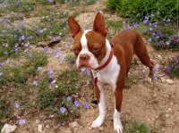 IMG_3072.JPG IMG_3072.JPG