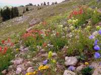 IMG_3093.JPG IMG_3093.JPG