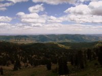 IMG_3098.JPG IMG_3098.JPG